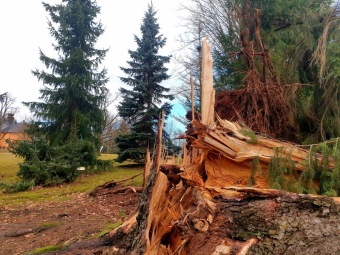 Škody po silném větru v 02/2022 - dolní park