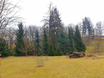 Škody po silném větru v 02/2022 - dolní park