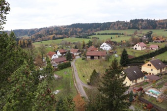 2021 Čarověník a Pseudotsuga menziesii - douglaska tisolistá v horním parku (fota z koruny stromů) v 11/2021