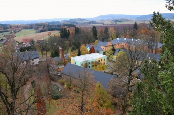 2021 Čarověník a Pseudotsuga menziesii - douglaska tisolistá v horním parku (fota z koruny stromů) v 11/2021