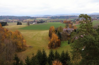 2021 Čarověník a Pseudotsuga menziesii - douglaska tisolistá v horním parku (fota z koruny stromů) v 11/2021