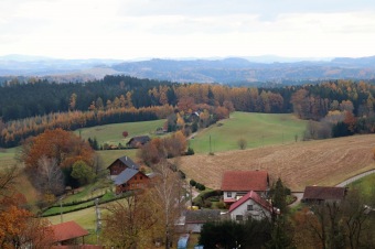 2021 Čarověník a Pseudotsuga menziesii - douglaska tisolistá v horním parku (fota z koruny stromů) v 11/2021