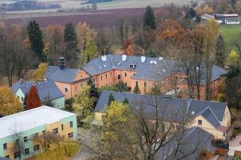 2021 Čarověník a Pseudotsuga menziesii - douglaska tisolistá v horním parku (fota z koruny stromů) v 11/2021