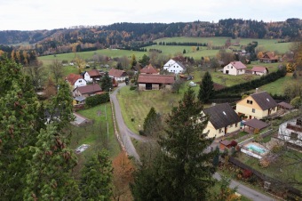 2021 Čarověník a Pseudotsuga menziesii - douglaska tisolistá v horním parku (fota z koruny stromů) v 11/2021