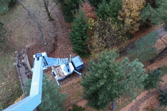 2021 Čarověník a Pseudotsuga menziesii - douglaska tisolistá v horním parku (fota z koruny stromů) v 11/2021