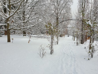 2021 Zima v Arboretu Žampach