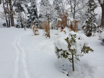 2021 Zima v Arboretu Žampach