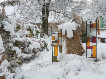 2021 Zima v Arboretu Žampach