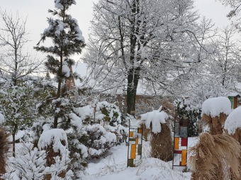 2021 Zima v Arboretu Žampach