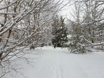 2021 Zima v Arboretu Žampach