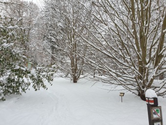 2021 Zima v Arboretu Žampach