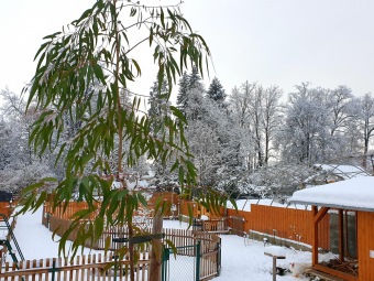 2021 Zima v Arboretu Žampach