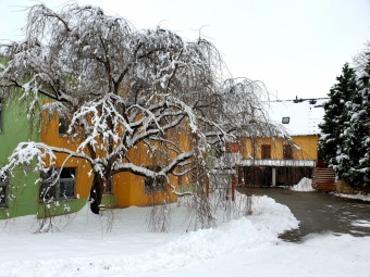 2021 Zima v Arboretu Žampach