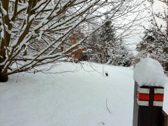 2021 Zima v Arboretu Žampach