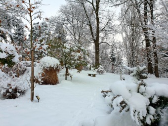 2021 Zima v Arboretu Žampach