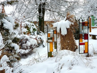 2021 Zima v Arboretu Žampach