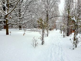2021 Zima v Arboretu Žampach