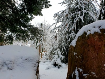 2021 Zima v Arboretu Žampach