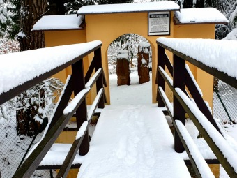 2021 Zima v Arboretu Žampach