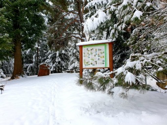 2021 Zima v Arboretu Žampach