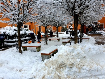 2021 Zima v Arboretu Žampach