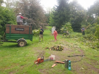 2023 Úklid po bouřce 26.8. - jírovec dolní park