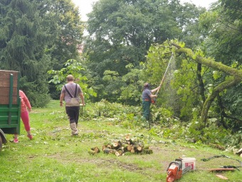 2023 Úklid po bouřce 26.8. - jírovec dolní park