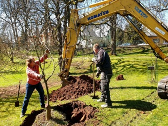 2023 Program dešťovka - přípravné práce - přesadby