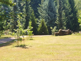 2023 Program dešťovka - průběh prací - nové cestičky