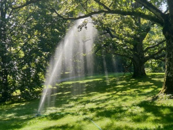 2023-09-07 Závlaha zprovozněna, nové cestičky dokončeny. Lavičky před dokončením.