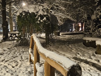 2023 Zimní večer v Arboretu Žampach (1.12.)