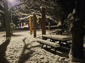 2023 Zimní večer v Arboretu Žampach (1.12.)