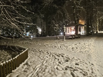 2023 Zimní večer v Arboretu Žampach (1.12.)