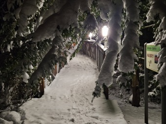2023 Zimní večer v Arboretu Žampach (1.12.)