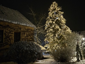 2023 Zimní večer v Arboretu Žampach (1.12.)