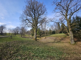 2024 Bledule jarní (Leucojum vernum) - jedna z prvních z jara kvetoucích bylin (11.3.)