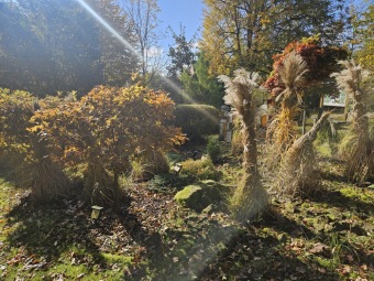 2024 Barevný podzim v Arboretu Žampach