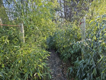 2024 - Zimování choulostivých druhů - leden - teploty -12 st.