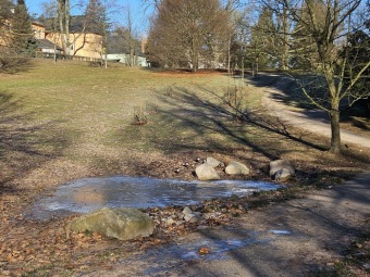 2024 - Zimování choulostivých druhů - leden - teploty -12 st.