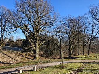 2024 - Zimování choulostivých druhů - leden - teploty -12 st.