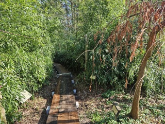 2025 Obnova lávky v mokřadu u bambusária (30.3.)