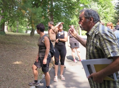 2025 Semenáčky sekvojovců z Arboreta Nový Dvůr - po 35 letech (19.8.)