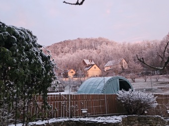 2025 Rozednění v Arboretu Žampach (2.1.)