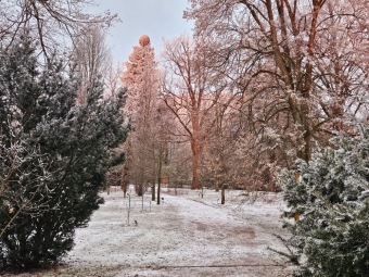2025 Rozednění v Arboretu Žampach (2.1.)