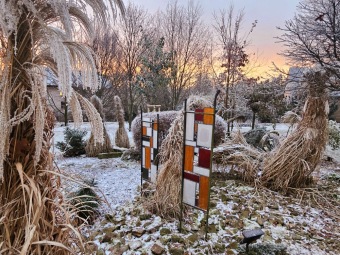 2025 Rozednění v Arboretu Žampach (2.1.)