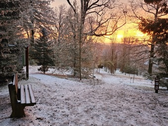 2025 Rozednění v Arboretu Žampach (2.1.)
