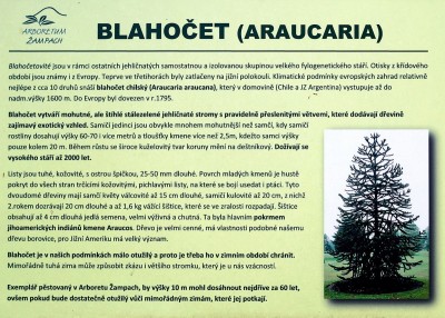 blahoceta do spodni zahrady