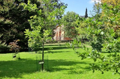 na domov