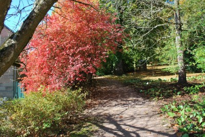 Horní park