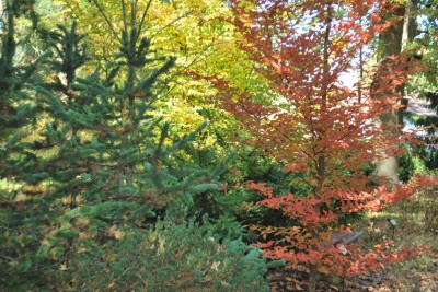 Horní park - cesta k vyhlídce